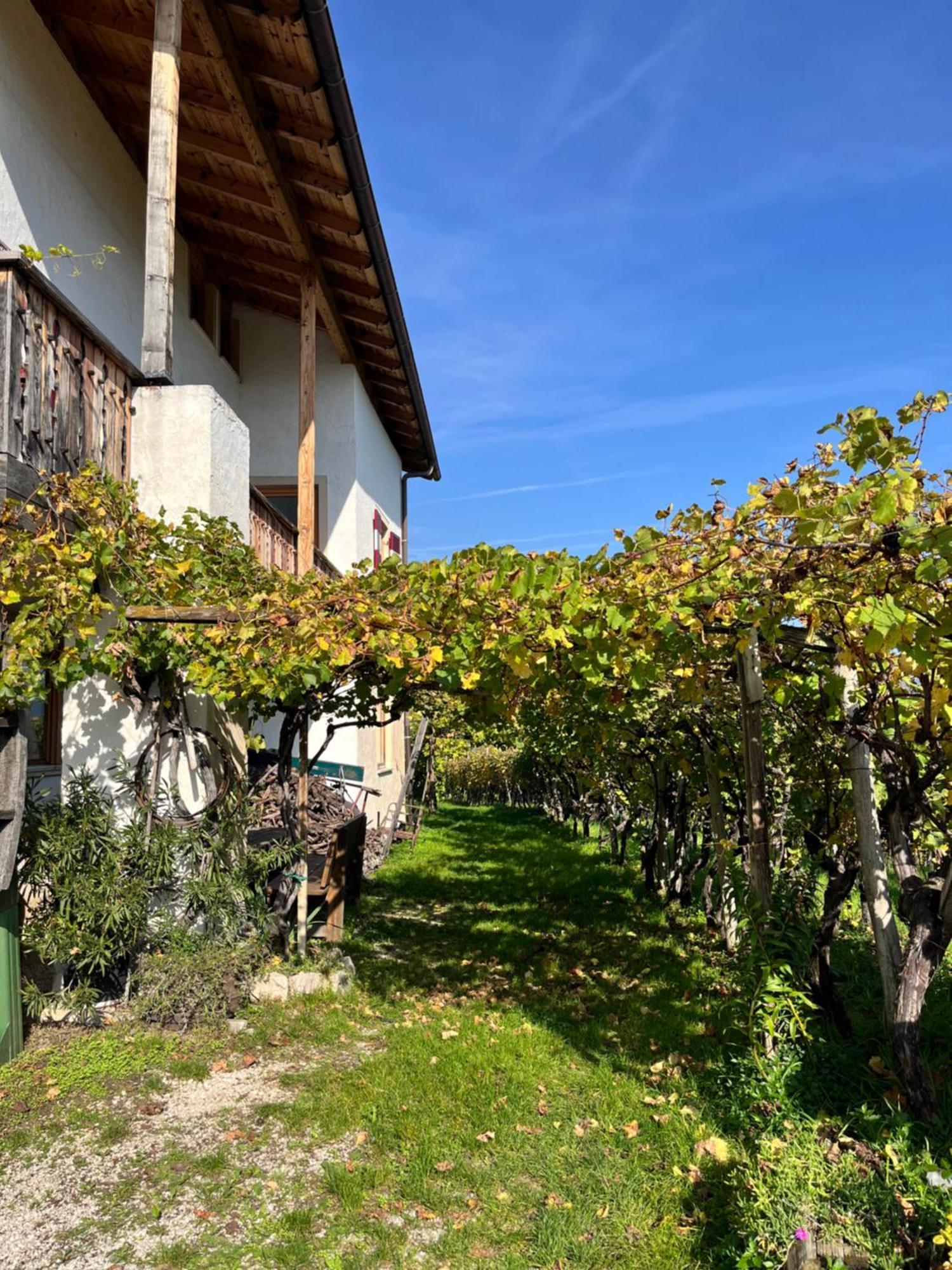 Voldersberghof Cortaccia Exterior foto